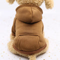 Trendy Pet Hoodie