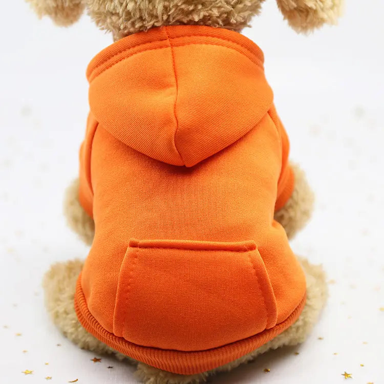 Trendy Pet Hoodie