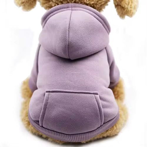 Trendy Pet Hoodie