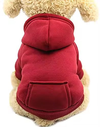 Trendy Pet Hoodie